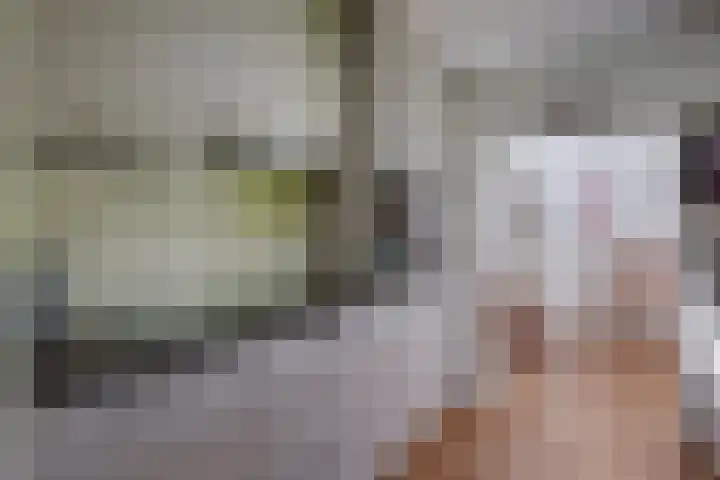 Van Tuyll van Serooskerkenweg 24 Ruurlo thumbnail 12