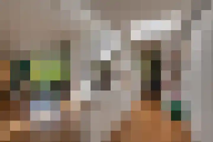 Van Tuyll van Serooskerkenweg 24 Ruurlo thumbnail 14