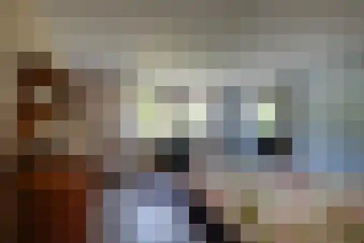 Van Tuyll van Serooskerkenweg 24 Ruurlo thumbnail 16
