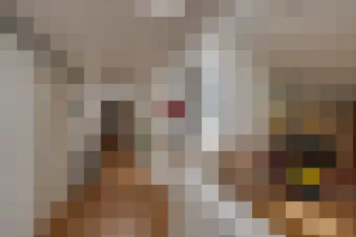 Van Tuyll van Serooskerkenweg 24 Ruurlo thumbnail 18