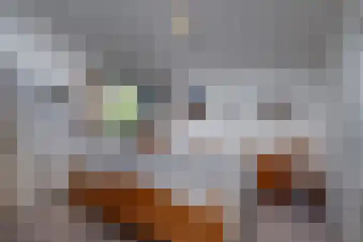 Van Tuyll van Serooskerkenweg 24 Ruurlo thumbnail 19