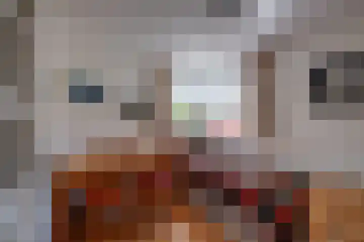 Van Tuyll van Serooskerkenweg 24 Ruurlo thumbnail 22