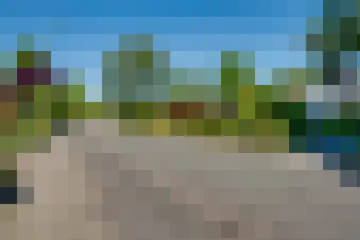 Van Tuyll van Serooskerkenweg 24 Ruurlo thumbnail 23