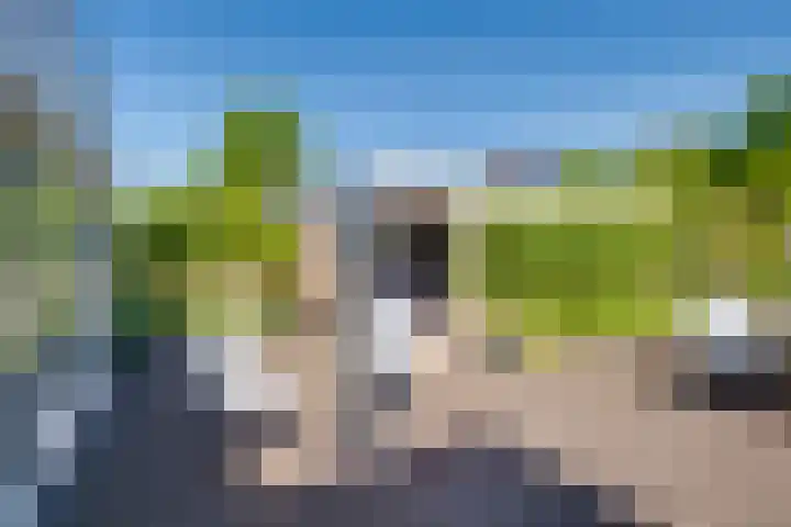 Van Tuyll van Serooskerkenweg 24 Ruurlo thumbnail 27