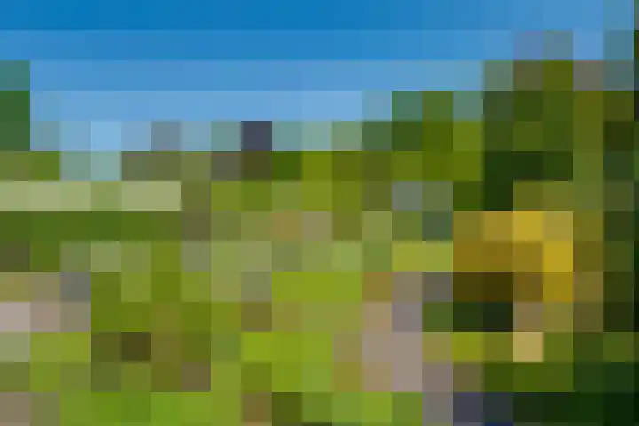 Van Tuyll van Serooskerkenweg 24 Ruurlo thumbnail 28