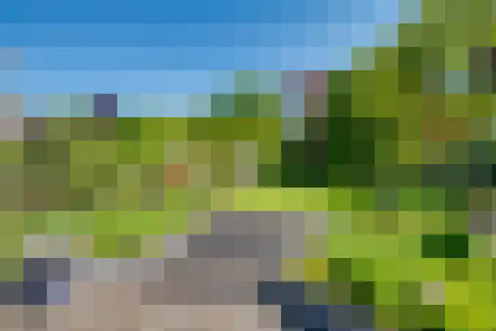 Van Tuyll van Serooskerkenweg 24 Ruurlo thumbnail 29