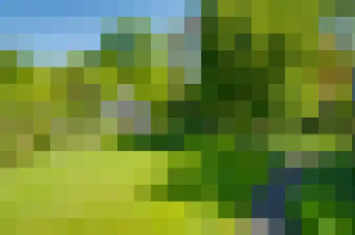 Van Tuyll van Serooskerkenweg 24 Ruurlo thumbnail 30