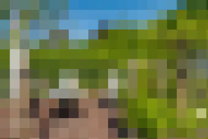 Van Tuyll van Serooskerkenweg 24 Ruurlo thumbnail 31