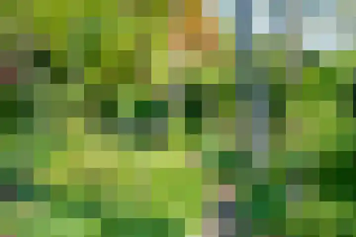 Van Tuyll van Serooskerkenweg 24 Ruurlo thumbnail 32