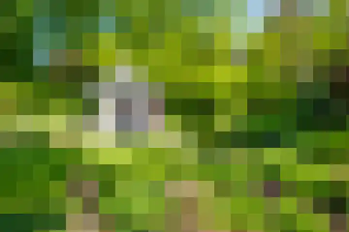 Van Tuyll van Serooskerkenweg 24 Ruurlo thumbnail 33