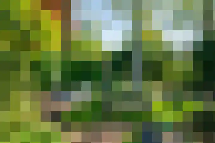 Van Tuyll van Serooskerkenweg 24 Ruurlo thumbnail 34