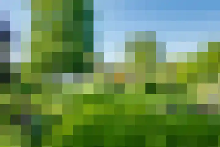 Van Tuyll van Serooskerkenweg 24 Ruurlo thumbnail 35