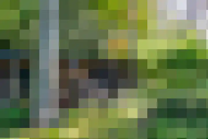 Van Tuyll van Serooskerkenweg 24 Ruurlo thumbnail 36