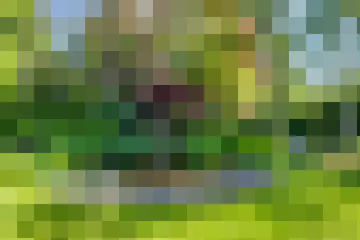 Van Tuyll van Serooskerkenweg 24 Ruurlo thumbnail 37