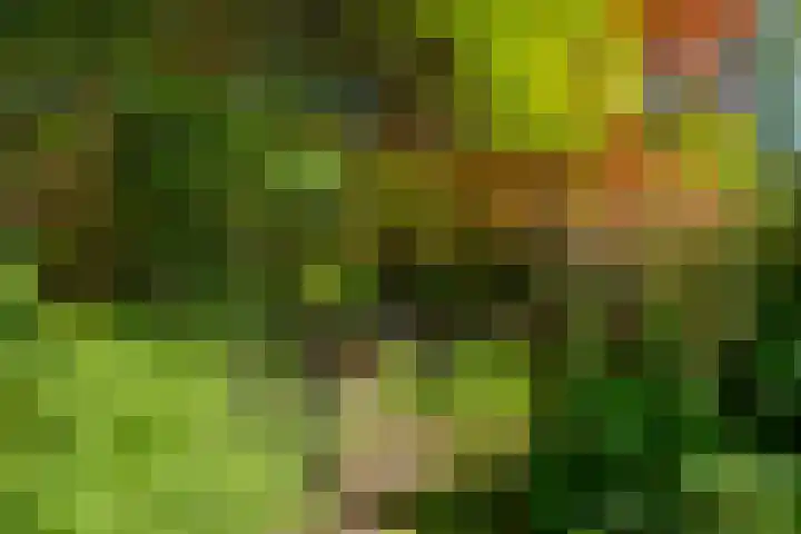 Van Tuyll van Serooskerkenweg 24 Ruurlo thumbnail 38