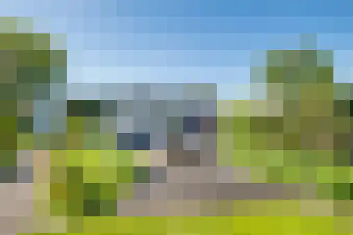 Van Tuyll van Serooskerkenweg 24 Ruurlo thumbnail 39