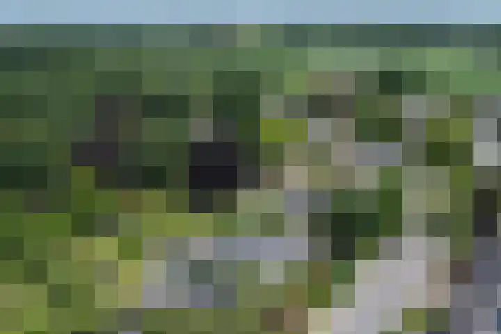 Van Tuyll van Serooskerkenweg 24 Ruurlo thumbnail 41