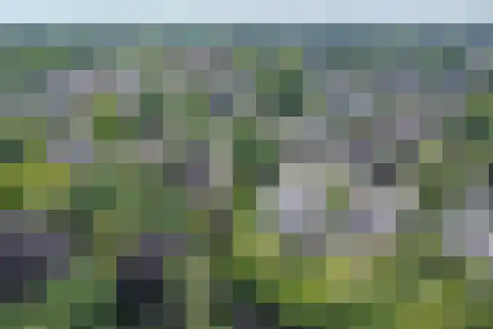 Van Tuyll van Serooskerkenweg 24 Ruurlo thumbnail 42