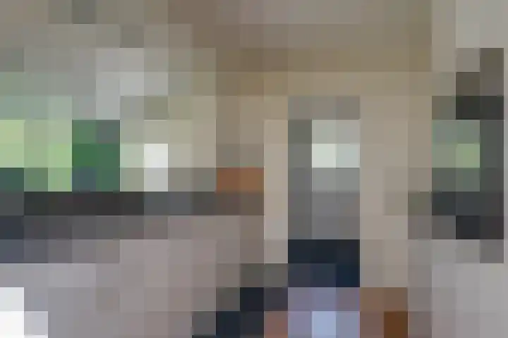 Van Tuyll van Serooskerkenweg 24 Ruurlo thumbnail 5