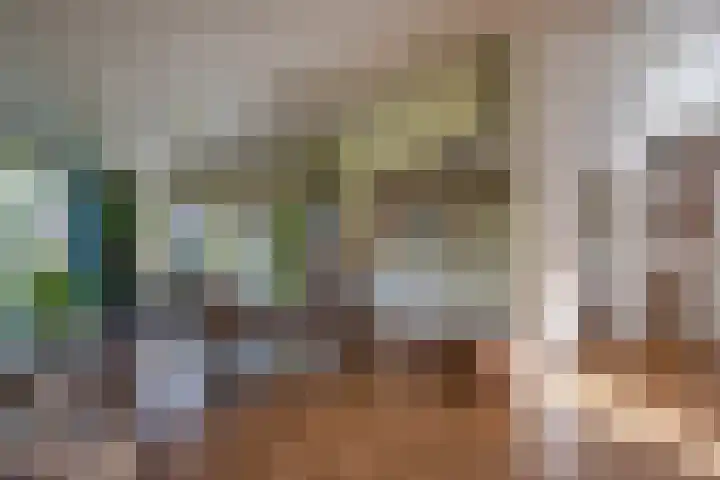 Van Tuyll van Serooskerkenweg 24 Ruurlo thumbnail 8