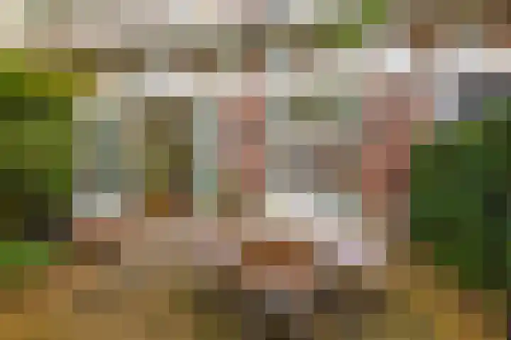Van Tuyll van Serooskerkenweg 25 3 Amsterdam thumbnail 13