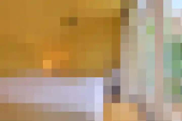 Van Tuyll van Serooskerkenweg 25 3 Amsterdam thumbnail 14