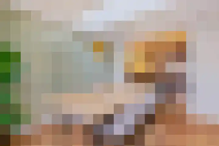 Van Tuyll van Serooskerkenweg 25 3 Amsterdam thumbnail 4