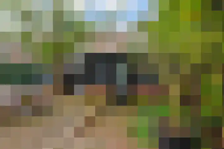 Van Tuyll van Serooskerkenweg 25 3 Amsterdam thumbnail 8