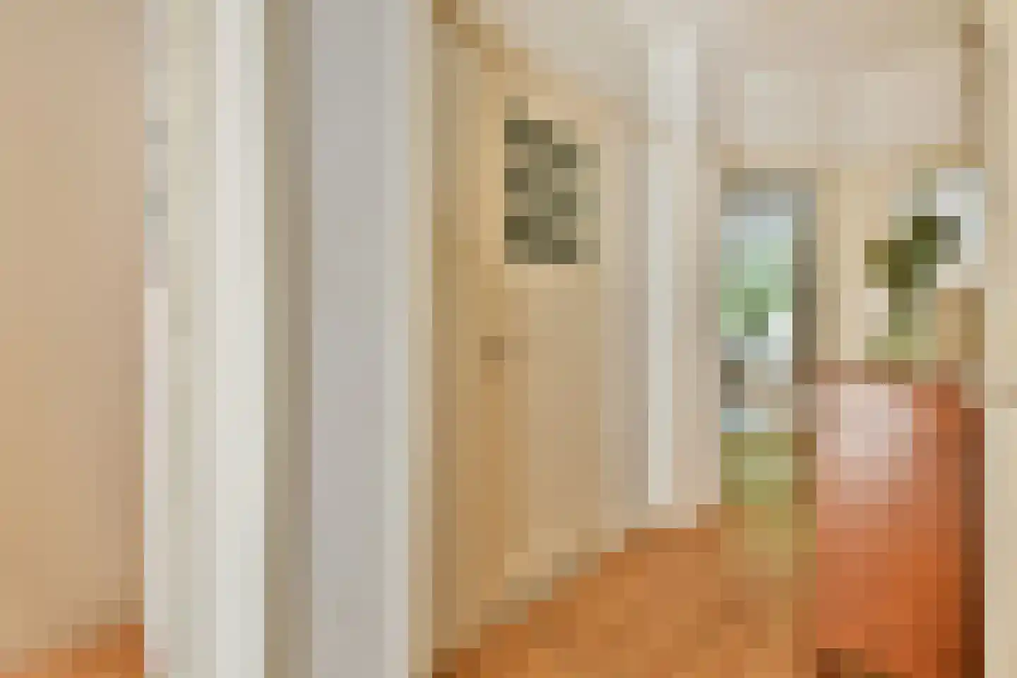 Van Tuyll van Serooskerkenweg 31 1 Amsterdam thumbnail 16