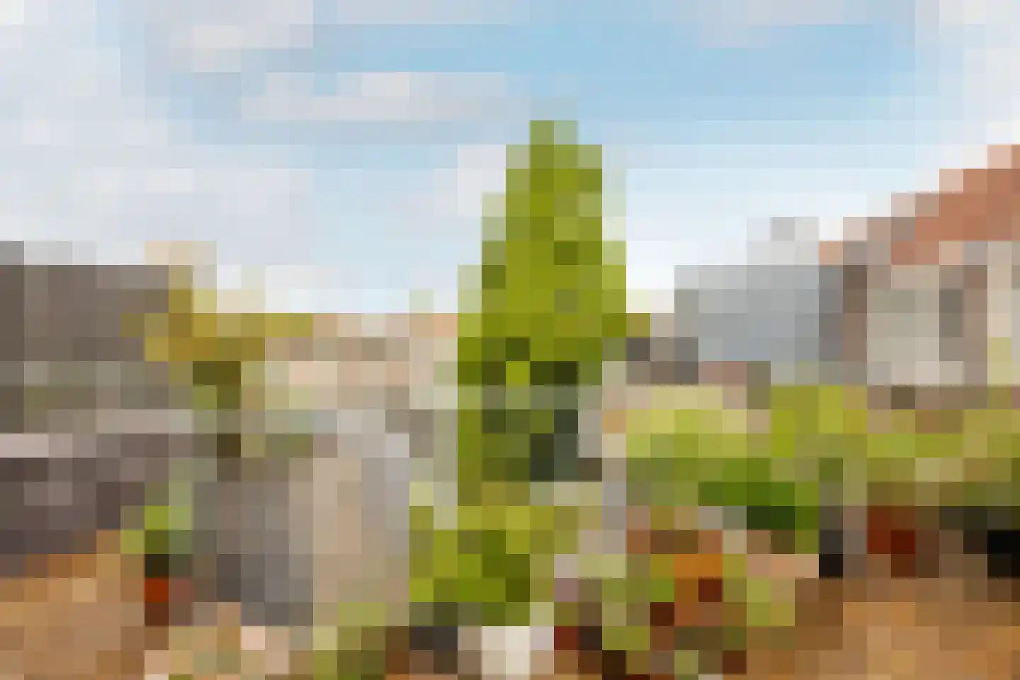Van Tuyll van Serooskerkenweg 4 2 Amsterdam thumbnail 10