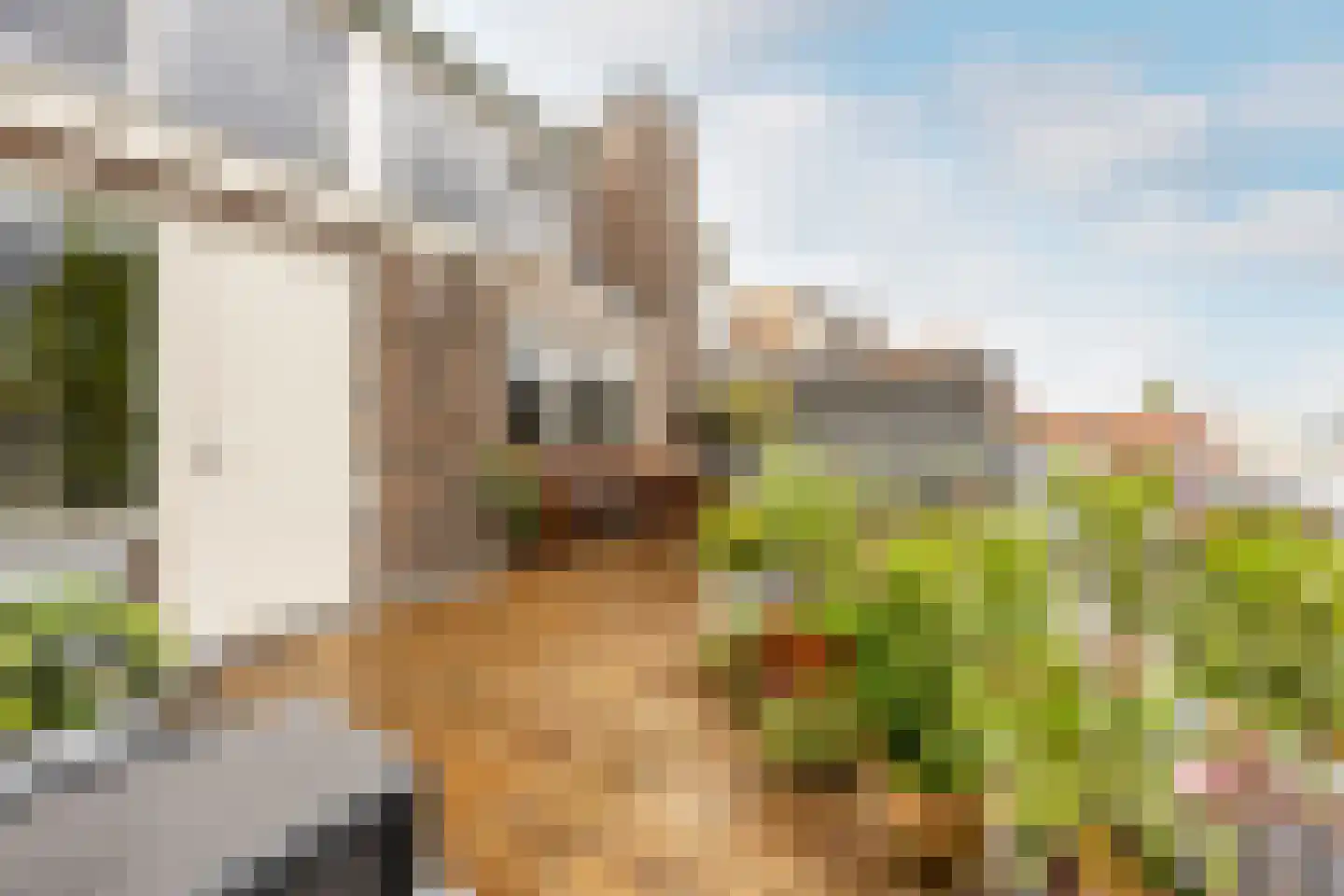 Van Tuyll van Serooskerkenweg 4 2 Amsterdam thumbnail 11