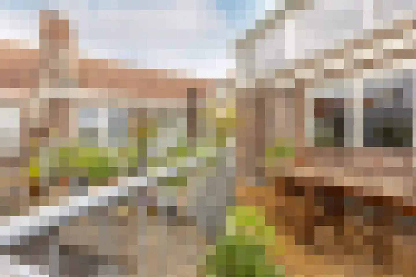 Van Tuyll van Serooskerkenweg 4 2 Amsterdam thumbnail 12