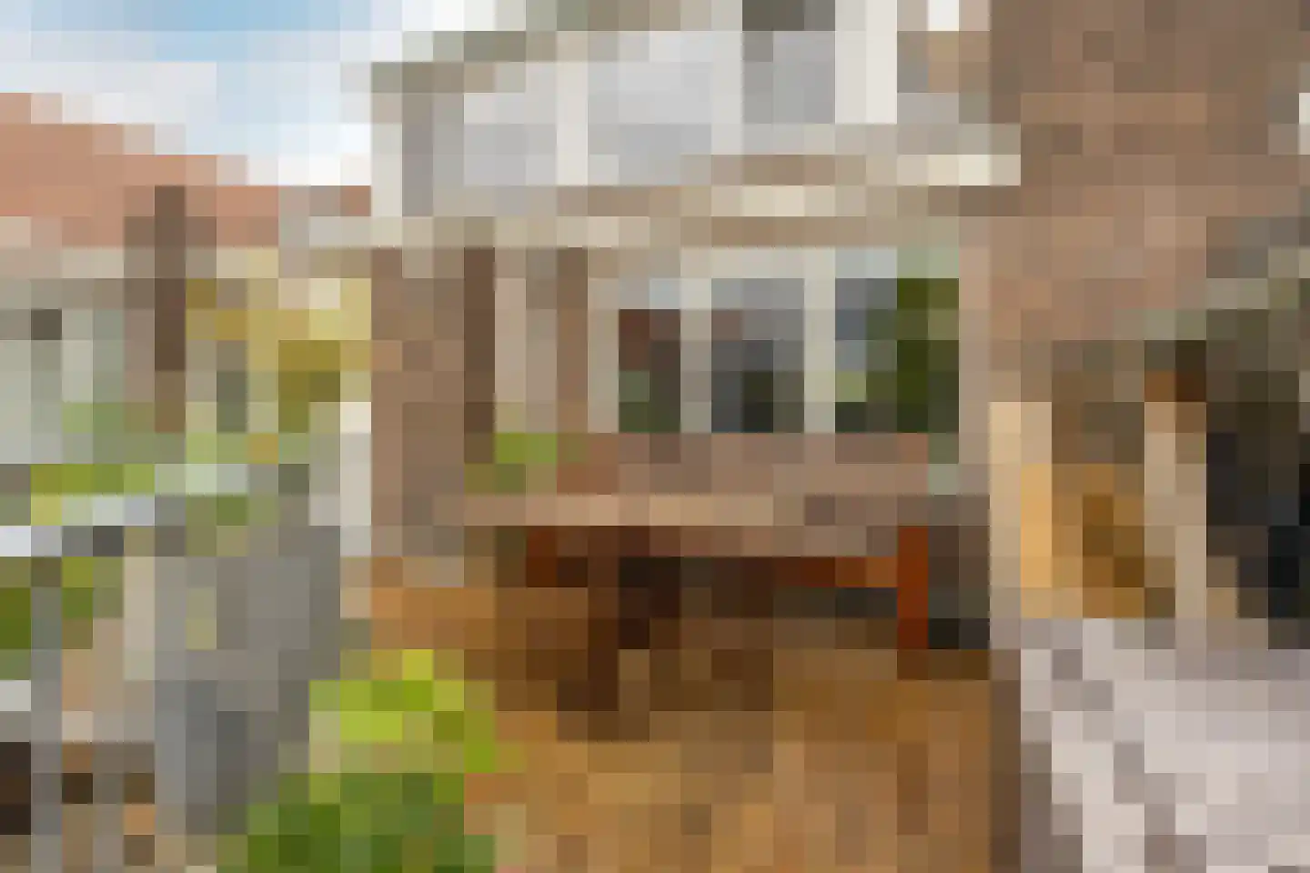 Van Tuyll van Serooskerkenweg 4 2 Amsterdam thumbnail 13
