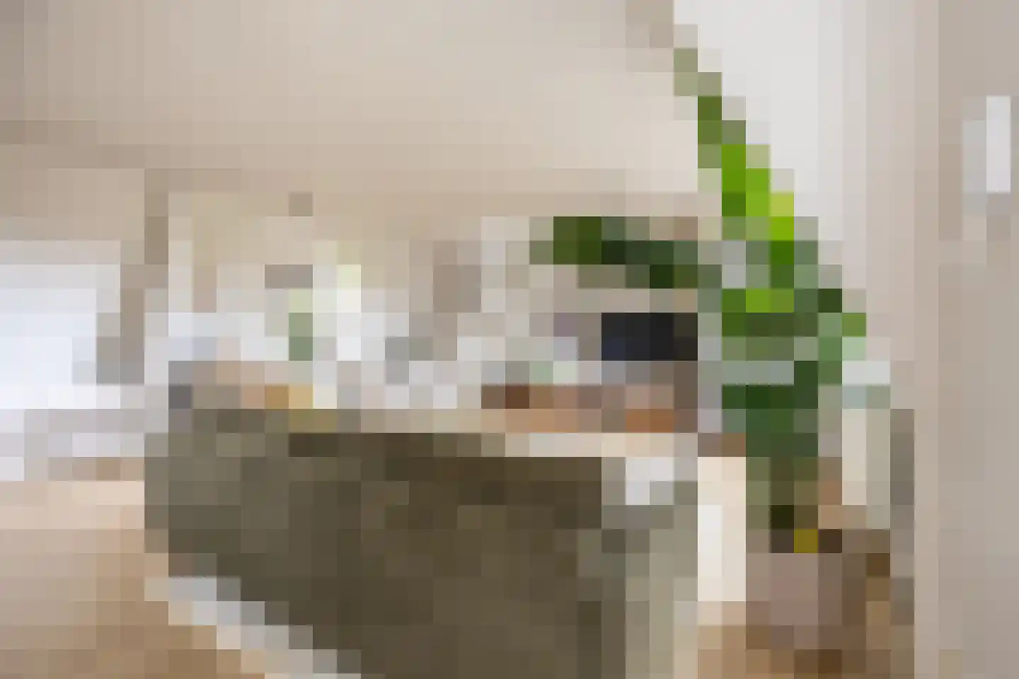 Van Tuyll van Serooskerkenweg 4 2 Amsterdam thumbnail 18