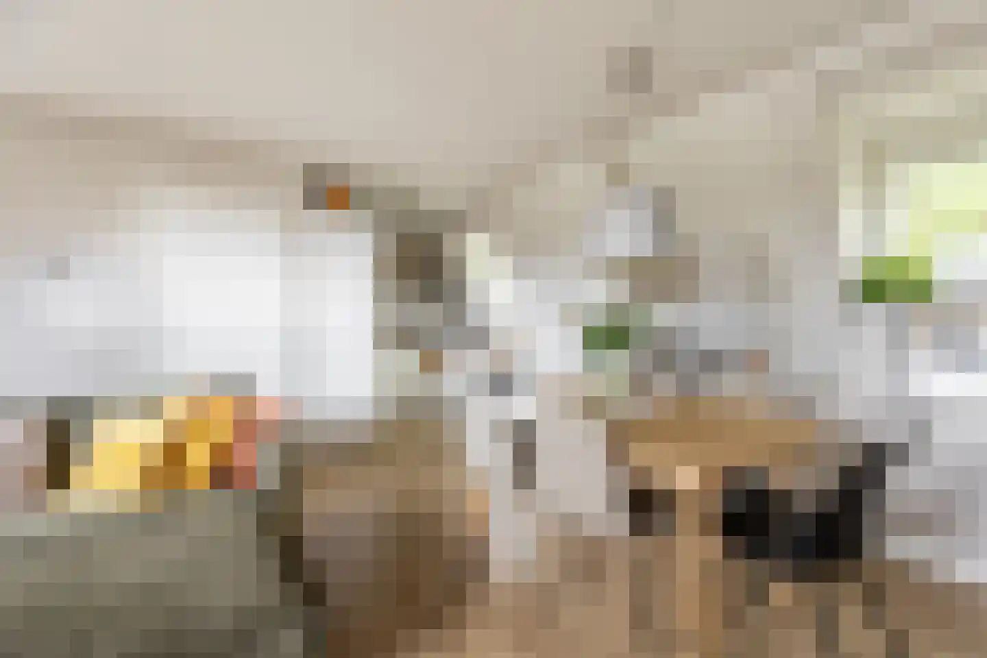 Van Tuyll van Serooskerkenweg 4 2 Amsterdam thumbnail 19
