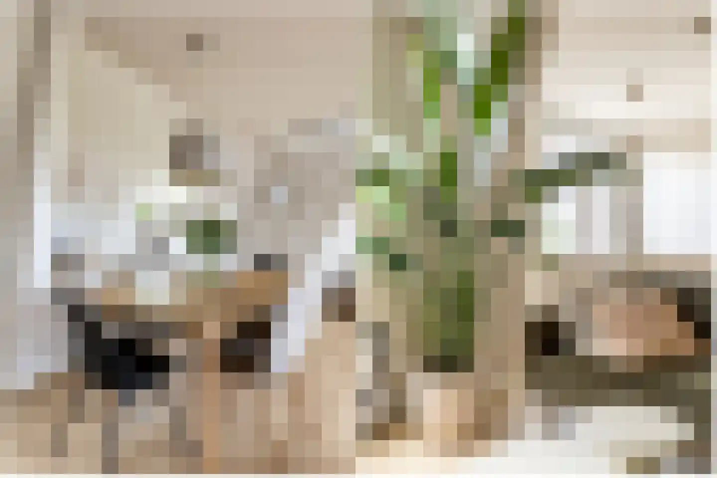 Van Tuyll van Serooskerkenweg 4 2 Amsterdam thumbnail 21