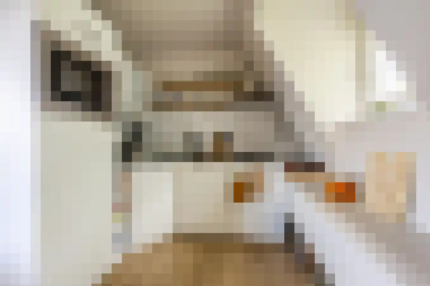 Van Tuyll van Serooskerkenweg 4 2 Amsterdam thumbnail 22