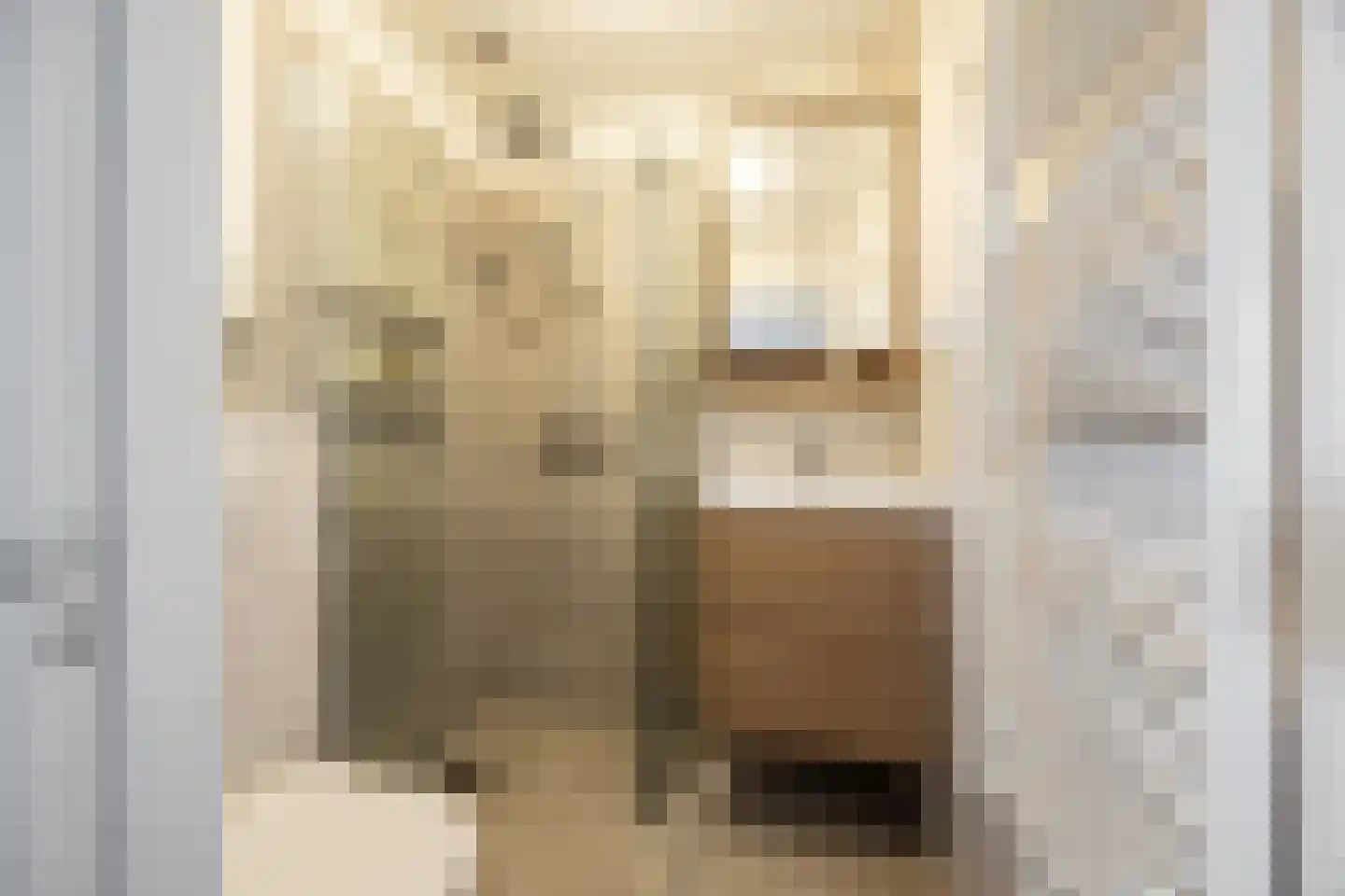 Van Tuyll van Serooskerkenweg 4 2 Amsterdam thumbnail 24