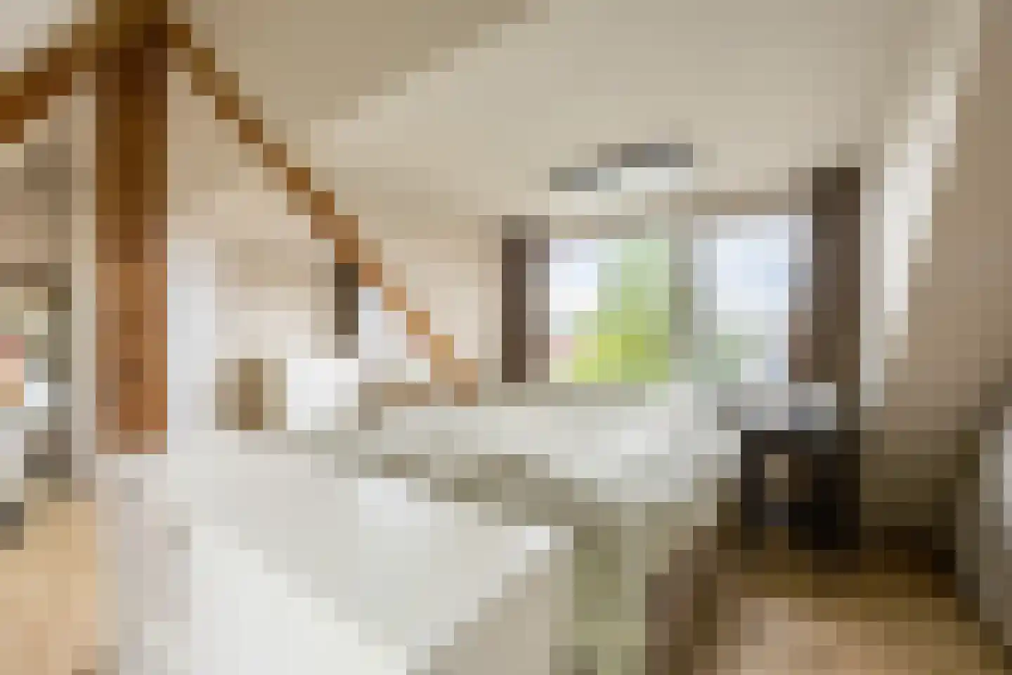 Van Tuyll van Serooskerkenweg 4 2 Amsterdam thumbnail 28