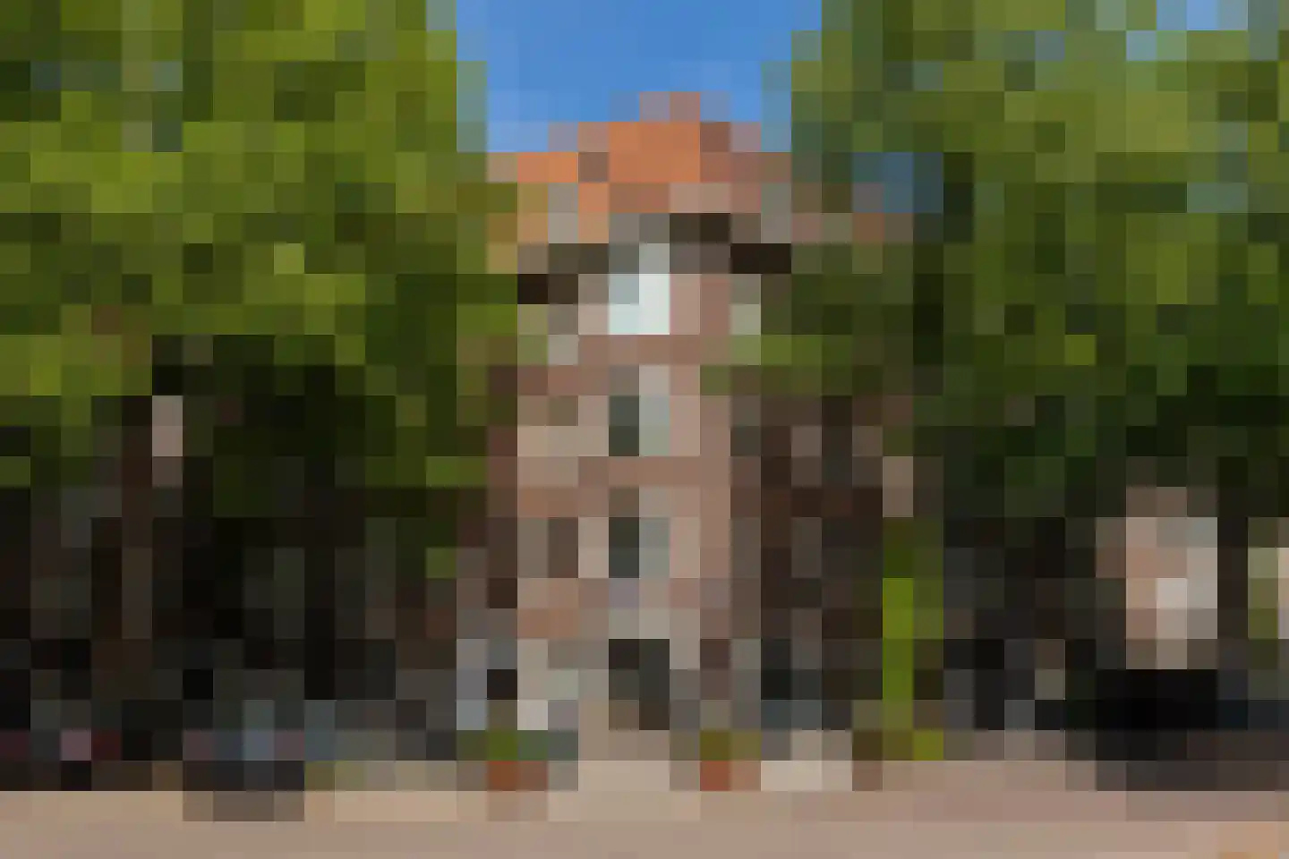 Van Tuyll van Serooskerkenweg 4 2 Amsterdam thumbnail 31
