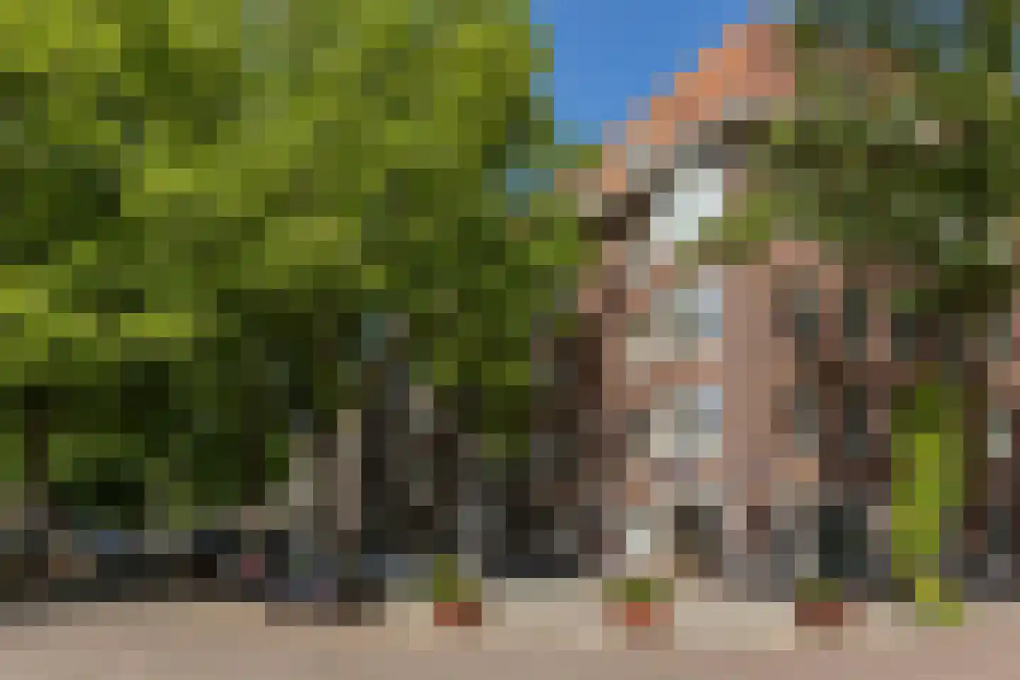 Van Tuyll van Serooskerkenweg 4 2 Amsterdam thumbnail 33