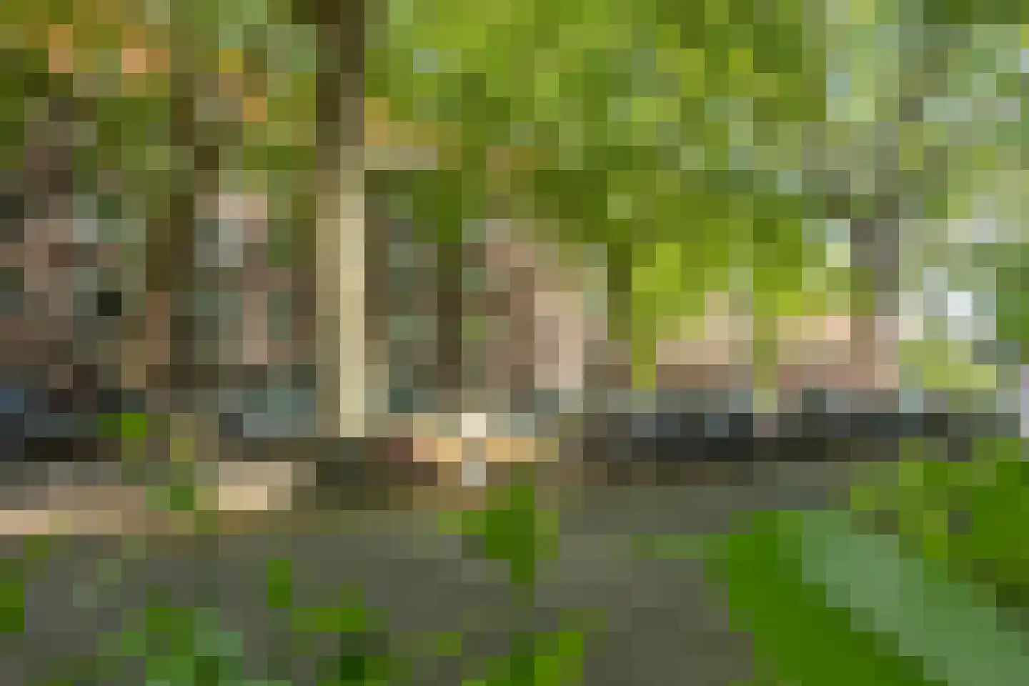 Van Tuyll van Serooskerkenweg 4 2 Amsterdam thumbnail 40
