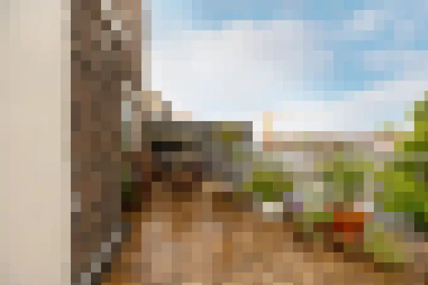 Van Tuyll van Serooskerkenweg 4 2 Amsterdam thumbnail 9