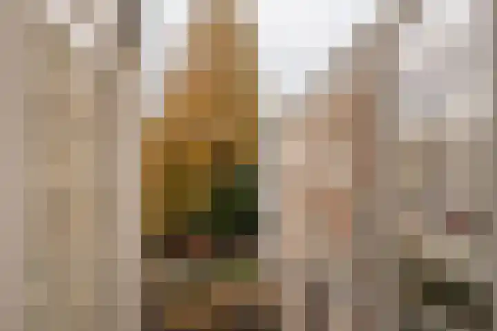 Van Tuyll van Serooskerkenweg 4 4 Amsterdam thumbnail 24