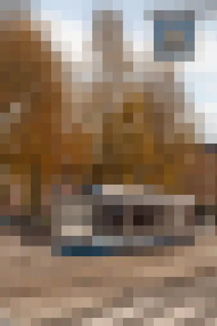 Van Tuyll van Serooskerkenweg 4 4 Amsterdam thumbnail 27