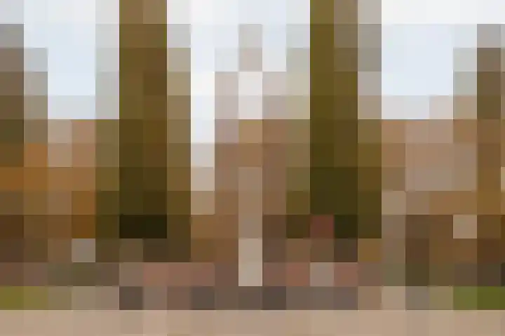 Van Tuyll van Serooskerkenweg 4 4 Amsterdam thumbnail 29