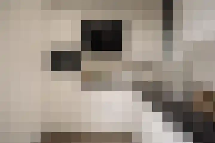 Van Tuyll van Serooskerkenweg 4 4 Amsterdam thumbnail 4
