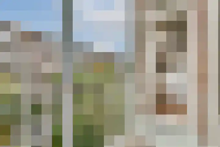 Van Tuyll van Serooskerkenweg 45 3 Amsterdam thumbnail 14