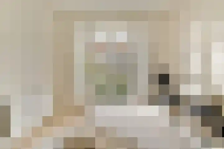 Van Tuyll van Serooskerkenweg 45 3 Amsterdam thumbnail 15