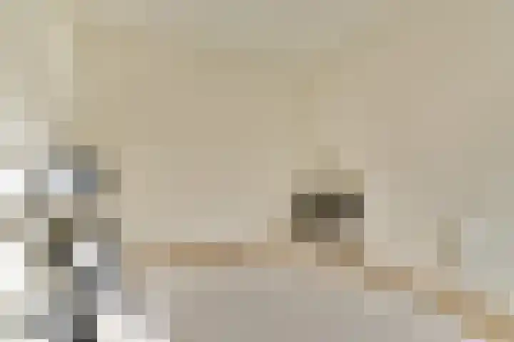 Van Tuyll van Serooskerkenweg 45 3 Amsterdam thumbnail 16